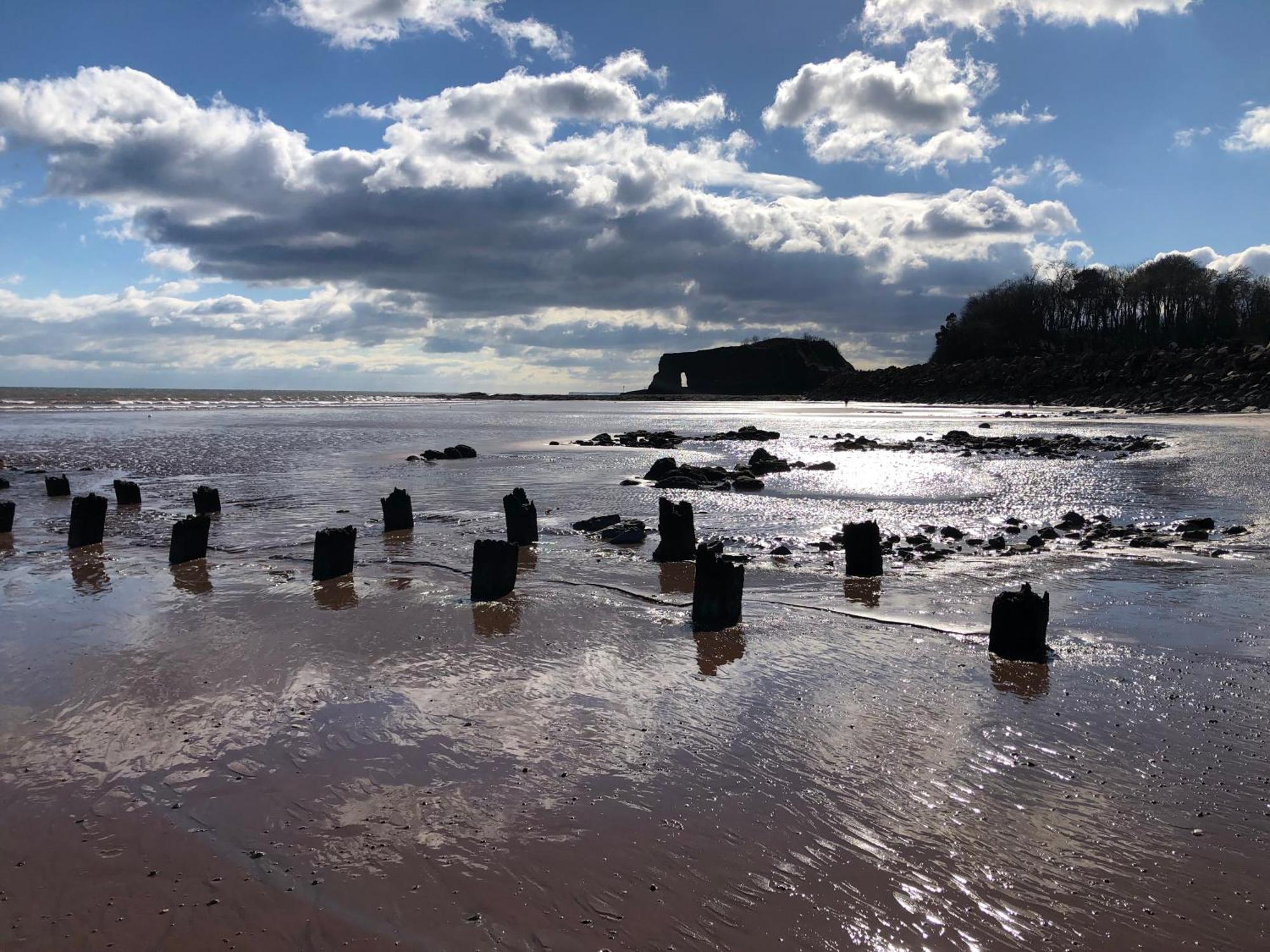 Sunny View Διαμέρισμα Dawlish Εξωτερικό φωτογραφία